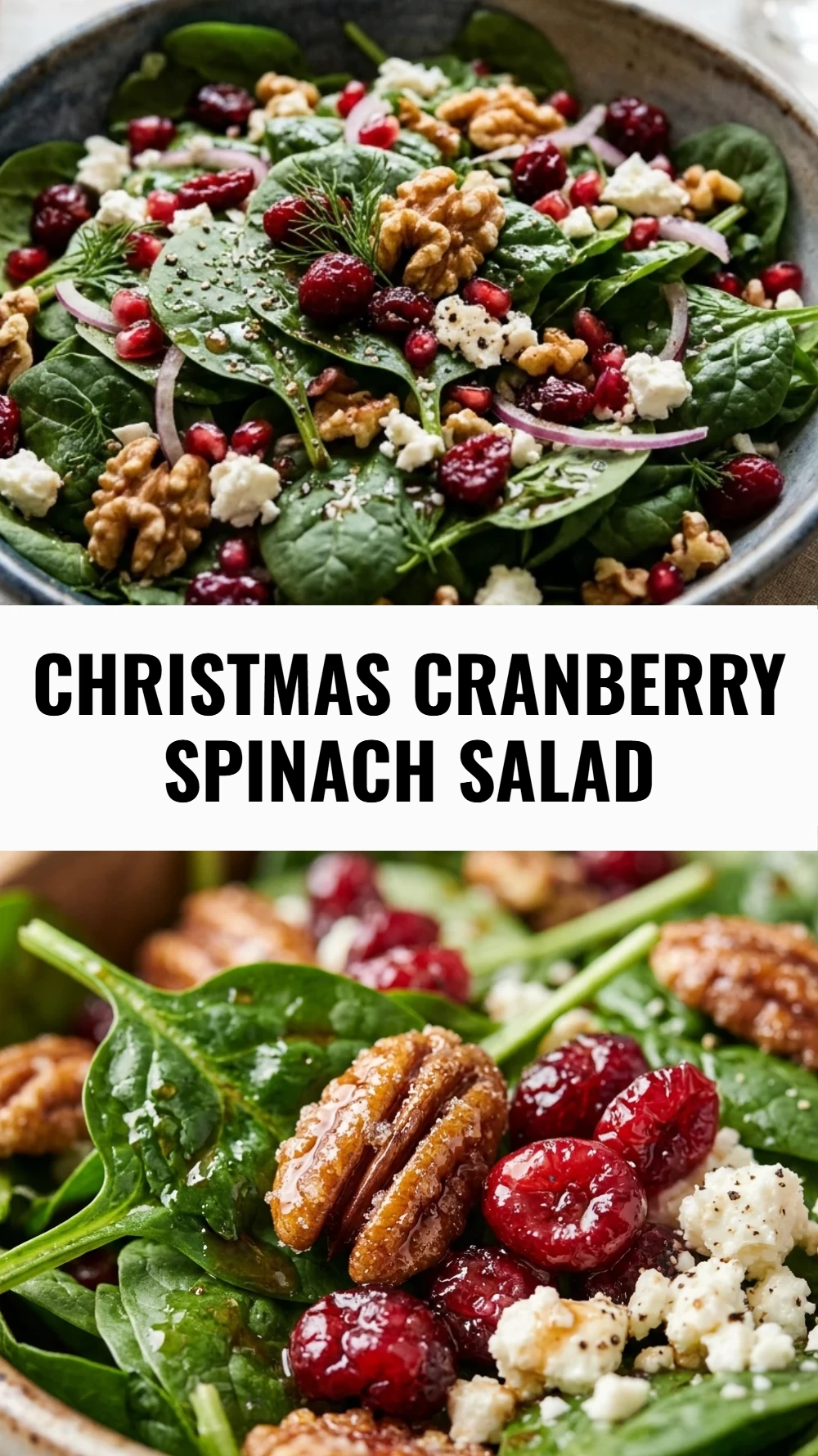 Christmas Cranberry Spinach Salad