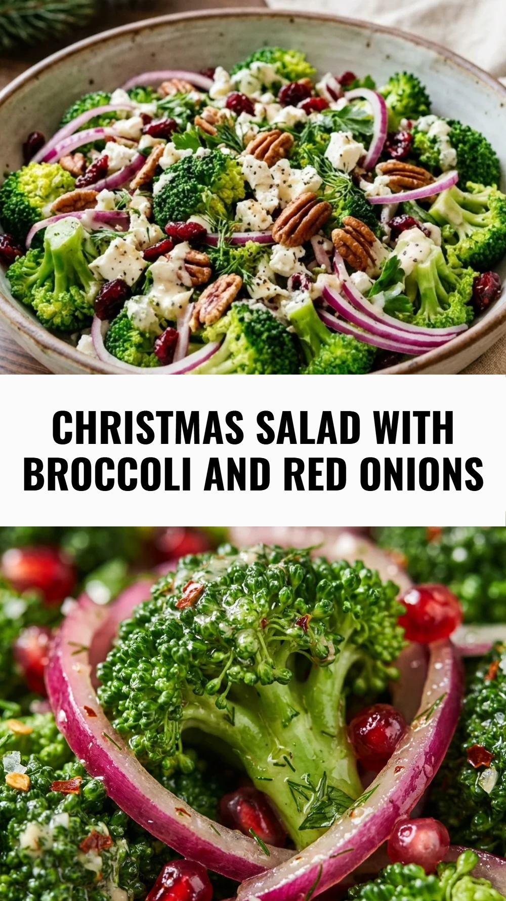 Christmas Salad with Broccoli and Red Onions