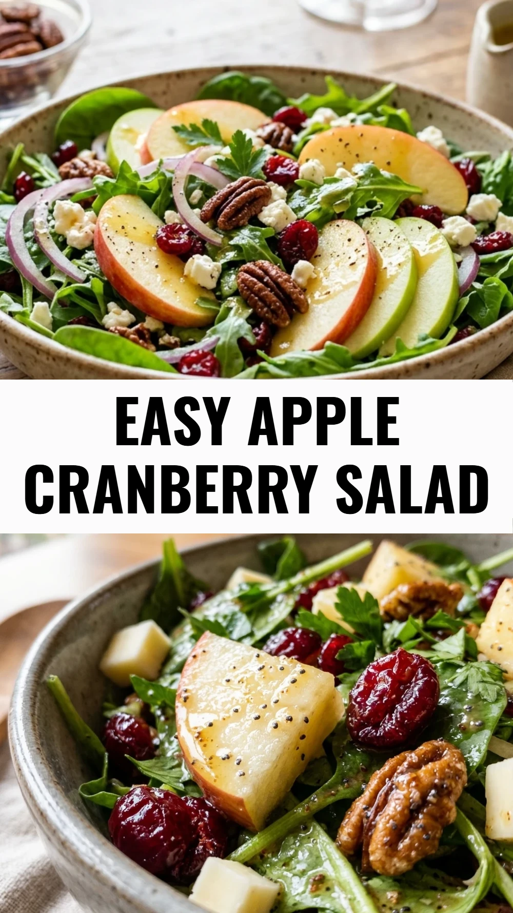 Easy Apple Cranberry Salad