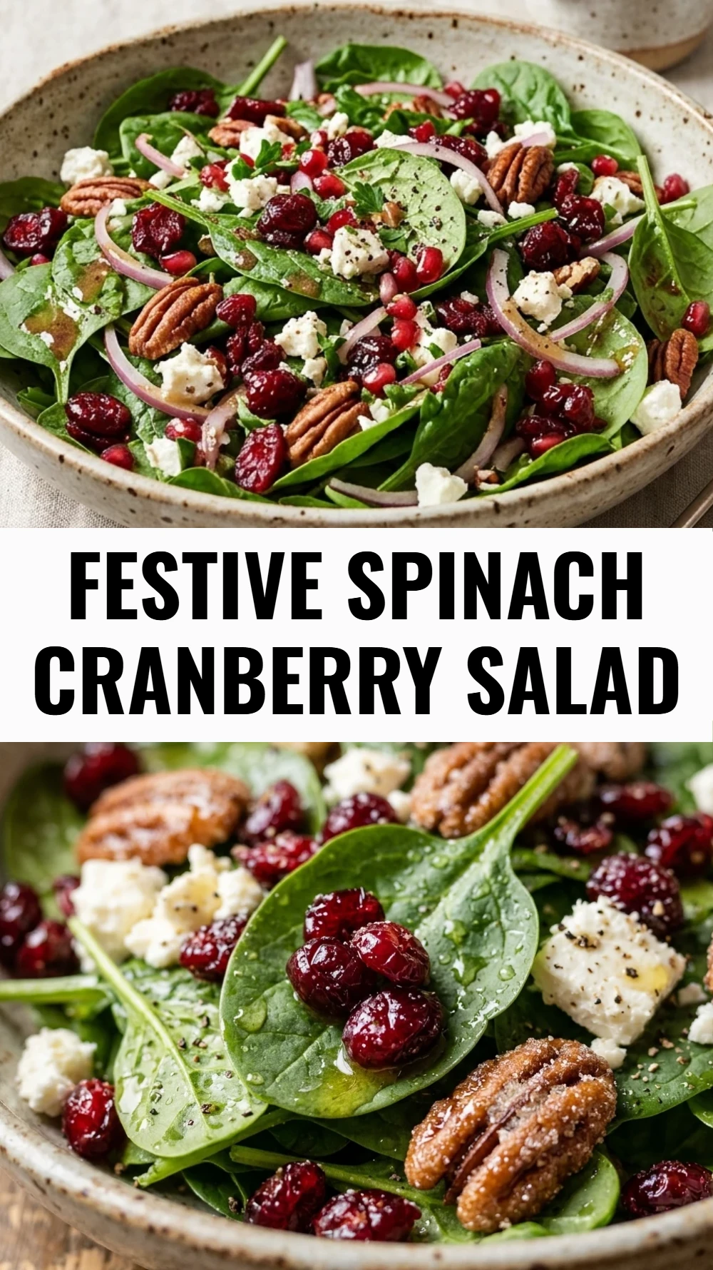 Festive Spinach Cranberry Salad